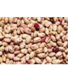 معرفی لوبیا چیتی( رقم صالح)