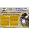 پیشگیری از عوارض کمبود ید در دام های کشور