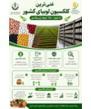 غنی ترین کلکسیون لوبیای کشور