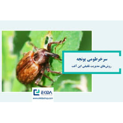 معرفی و مدیریت مهمترین آفات یونجه