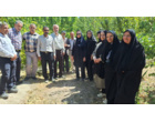 برگزاری کارگاه آموزشی مدیریت زمستانه آفات و بیماری‌های خسارت‌زا در باغات در شهرستان تفرش
