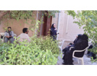 برگزاری کارگاه آموزشی مدیریت زمستانه آفات و بیماری‌های خسارت‌زا در باغات در شهرستان تفرش