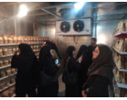 بازدید دانشجویان رشته علوم باغبانی دانشگاه اراک از پردیس تحقیقات و آموزش لوبیای خمین
