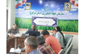راهکارهای تقویت تولید و توزیع بذر گواهی‌شده در کمیته فنی بذر استان بررسی شد