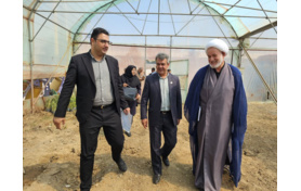 بازدید اعضای کمیته برنامه‌ریزی آموزش های مهارتی مددجویان زندان استان مرکزی از گلخانه‌های کشاورزی بنیاد تعاون زندانیان