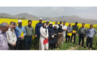 برگزاری روز مزرعه کلزا در روستای ایجان شهرستان خنداب با تاکید بر مصرف بهینه آب