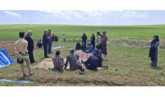 ایجاد مزرعه الگویی گیاهان دارویی در شهرستان شازند