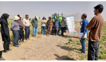 برگزاری کارگاه آموزشی مدیریت آفات مهم لوبیا در روستای حک شهرستان شازند