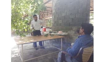 برگزاری کارگاه آموزشی مدیریت باغات گردو در شهرستان آستانه شازند