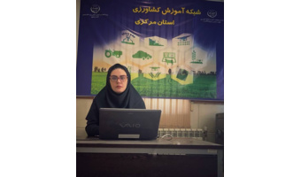 مروری بر علل و عوامل تخریب جنگل‌های زاگرس