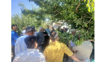 برگزاری کارگاه عملی  دوره هرس، پیوند و سرشاخه‌کاری در روستای بازنه شهرستان شازند
