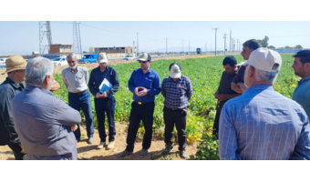 روز مزرعه کشت حفاظتی و کشت لوبیا روی بسترهای بلند در در روستای رشیدآباد خمین