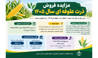 مزایده فروش ذرت علوفه ای سال ۱۴۰۵
