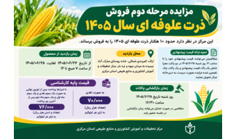 مزایده مرحله دوم فروش ذرت علوفه ای سال ۱۴۰۵