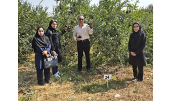 بازدید نمایندگان مرکز ملی مدیریت منابع ژنتیکی و مؤسسه تحقیقات علوم باغبانی از کلکسیون ژرم‌پلاسم انار ایران در ساوه