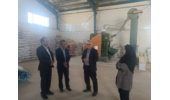 بازدید سرپرست مرکز تحقیقات استان مرکزی از شرکت نگین بذر پارس خمین با هدف بررسی فرآیند بوجاری و کیفیت بذر لوبیا