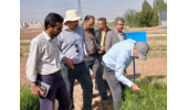 بازدید رئیس موسسه تحقیقات ثبت و گواهی بذر و نهال از مزارع تولید بذر ایستگاه تحقیقات کشاورزی اراک
