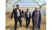 بازدید اعضای کمیته برنامه‌ریزی آموزش های مهارتی مددجویان زندان استان مرکزی از گلخانه‌های کشاورزی بنیاد تعاون زندانیان