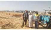 بازدید مسئول دفتر نمایندگی ولی‌فقیه در مرکز از آزمایش‌های به‌نژادی غلات و روند معرفی ارقام جدید گندم و جو