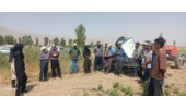 برگزاری کارگاه آموزشی کشت ردیفی لوبیا به روش آبیاری تیپ در روستای حک شهرستان شازند