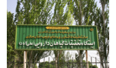 ایستگاه تحقیقات گیاهان دارویی استان مرکزی؛ میزبان بیش از ۷۰ گونه گیاه دارویی