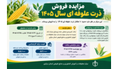 مزایده فروش ذرت علوفه ای سال ۱۴۰۵