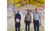 بازدید از واحدهای پرورش مرغ گوشتی شهرستان شازند برای جمع‌آوری داده‌های انرژی