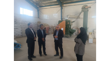 بازدید سرپرست مرکز تحقیقات استان مرکزی از شرکت نگین بذر پارس خمین با هدف بررسی فرآیند بوجاری و کیفیت بذر لوبیا