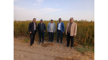 بازدید کمیته فنی نهال استان مرکزی از نهالستان‌های شهرستان ساوه