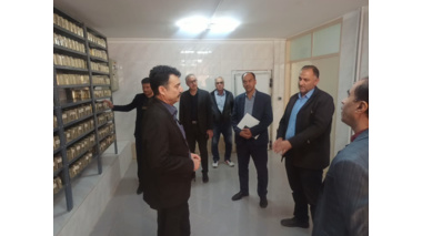 بازدید مدیرکل دفتر امور غلات و محصولات اساسی وزارت جهاد کشاورزی از پردیس تحقیقات و آموزش لوبیا خمین