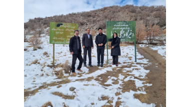 بازدید کارگروه گیاه پزشکی در حوزه منابع طبیعی از ذخیره‌گاه طبیعی بلوط در شهرستان سربند