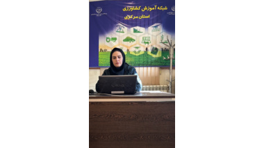 دوره آموزشی کاربرد فرآیندهای زیستی گیاه‌محور در مدیریت آلودگی‌های محیطی