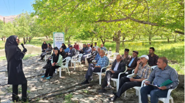 دوره آموزشی مدیریت تلفیقی کنترل آفت کرم خراط در باغات گردو در روستای قلعه منصوریه شهرستان تفرش