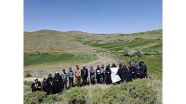 روز مزرعه آشنایی با گیاهان دارویی خود رو در بخش سربند شهرستان شازند