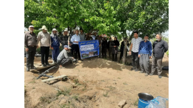 کارگاه آموزشی تغذیه و هرس اصولی باغات انگور در شهرستان کمیجان