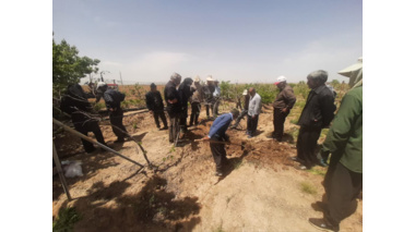 کارگاه آموزشی کنترل عوامل خسارتزا در باغات انگور در شهرستان کمیجان