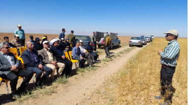 روز مزرعه کشت مستقیم کاملینا در شهرستان آشتیان