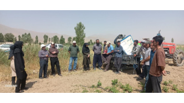 برگزاری کارگاه آموزشی کشت ردیفی لوبیا به روش آبیاری تیپ در روستای حک شهرستان شازند