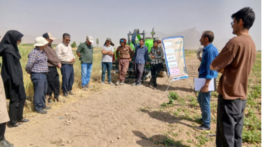 برگزاری کارگاه آموزشی مدیریت آفات مهم لوبیا در روستای حک شهرستان شازند