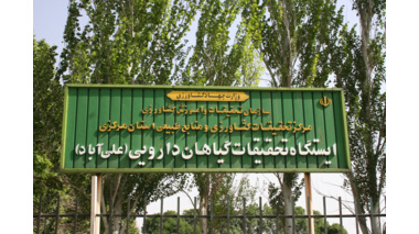ایستگاه تحقیقات گیاهان دارویی استان مرکزی؛ میزبان بیش از ۷۰ گونه گیاه دارویی