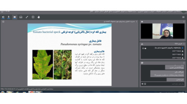 برگزاری وبینار آموزشی با عنوان مدیریت تلفیقی بیماری های خیار و گوجه فرنگی گلخانه ای
