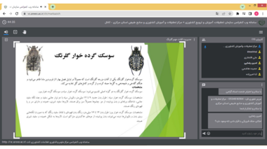 مدیریت کنترل آفات مهم گلرنگ