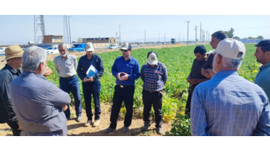 روز مزرعه کشت حفاظتی و کشت لوبیا روی بسترهای بلند در در روستای رشیدآباد خمین