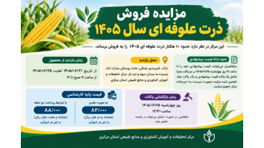 مزایده فروش ذرت علوفه ای سال ۱۴۰۵
