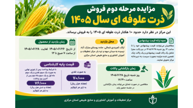 مزایده مرحله دوم فروش ذرت علوفه ای سال ۱۴۰۵