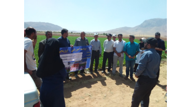 برگزاری روز مزرعه لوبیا با محوریت کشت روی پشته‌های عریض و آبیاری تیپ زیرسطحی در روستای ده سفیدخمین