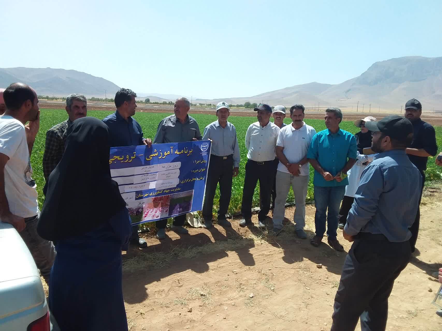 برگزاری روز مزرعه لوبیا با محوریت کشت روی پشته‌های عریض و آبیاری تیپ زیرسطحی در روستای ده سفیدخمین