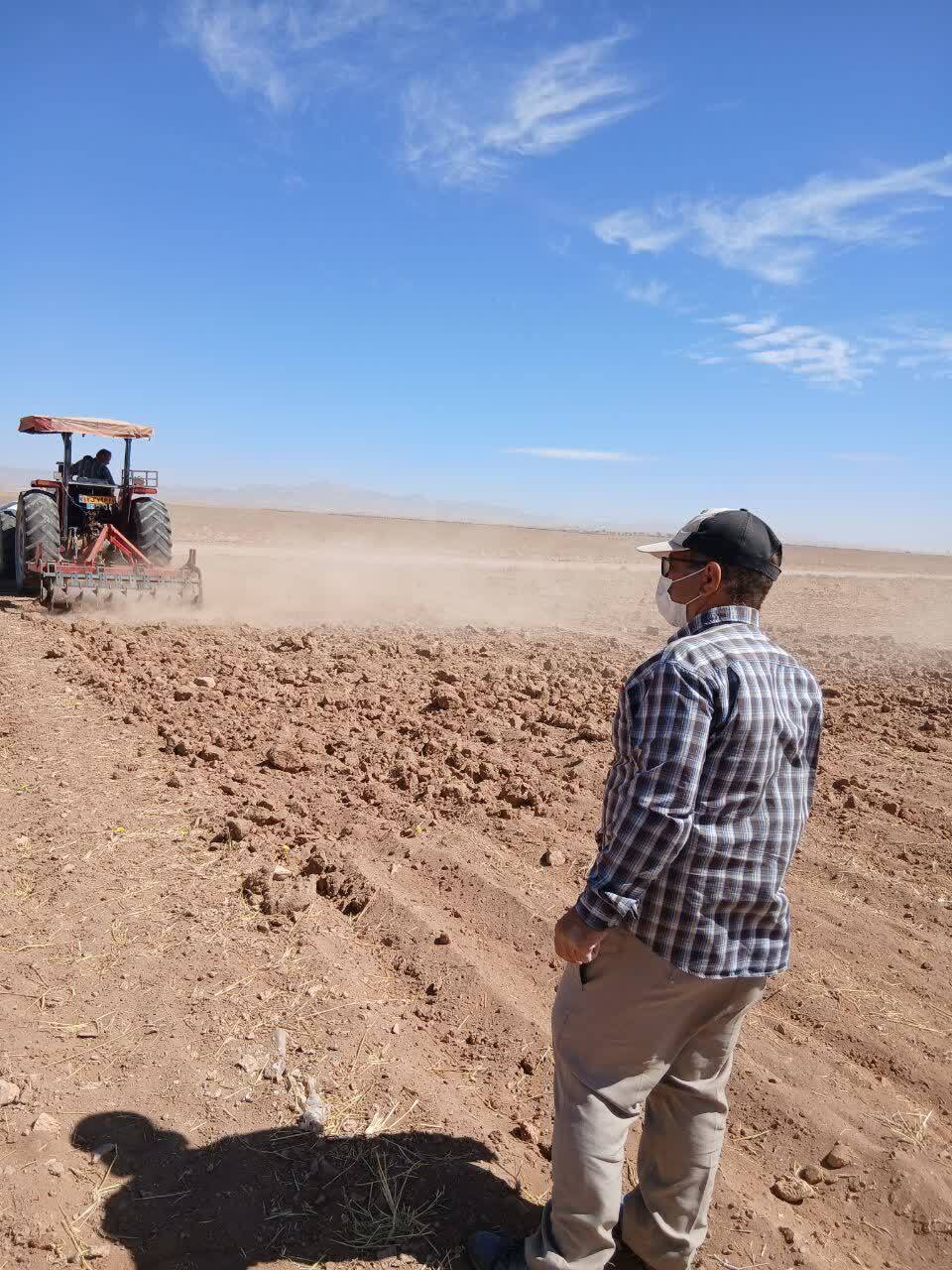 عملیات آماده سازی زمین و پایش جمعیت علف‌های هرز مزرعه گندم دیم در روستای نجف‌آباد آشتیان